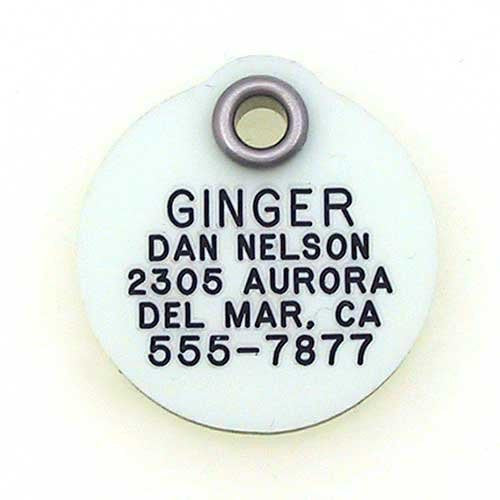 Glow-In-The-Dark Tag - Round, - Lucky Pet